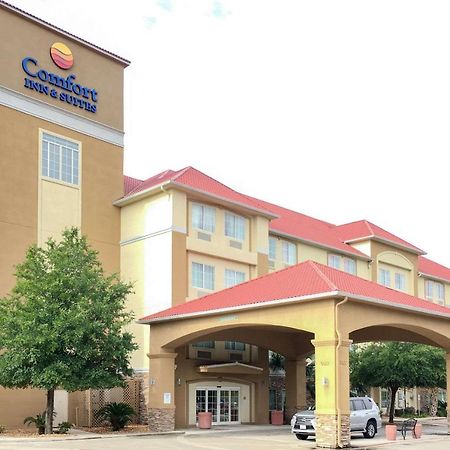 Comfort Inn & Suites Near Six Flags & Medical Center San Antonio Exteriör bild