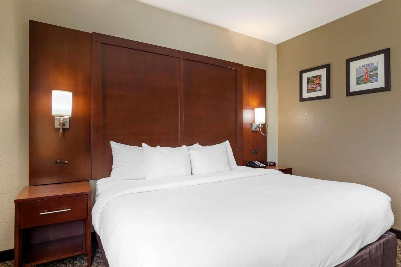 Comfort Inn & Suites Near Six Flags & Medical Center San Antonio Exteriör bild