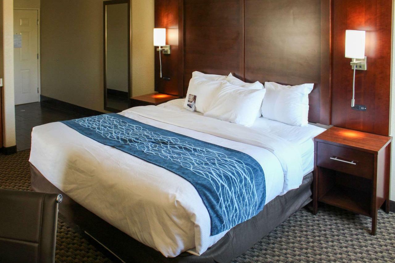 Comfort Inn & Suites Near Six Flags & Medical Center San Antonio Exteriör bild