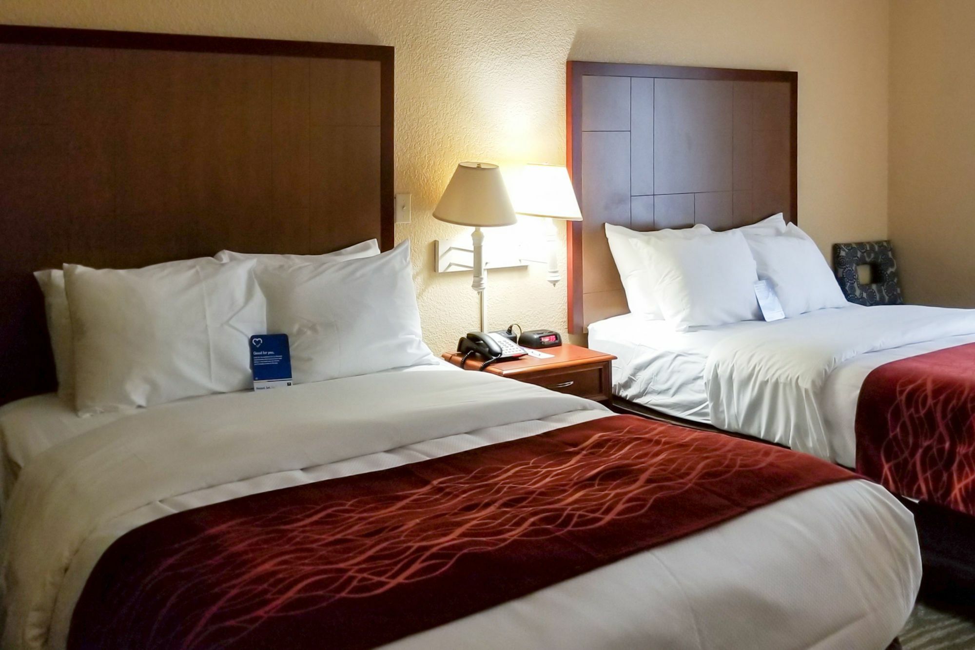 Comfort Inn & Suites Near Six Flags & Medical Center San Antonio Exteriör bild